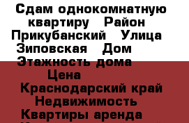 Сдам однокомнатную квартиру › Район ­ Прикубанский › Улица ­ Зиповская › Дом ­ 41 › Этажность дома ­ 16 › Цена ­ 12 000 - Краснодарский край Недвижимость » Квартиры аренда   . Краснодарский край